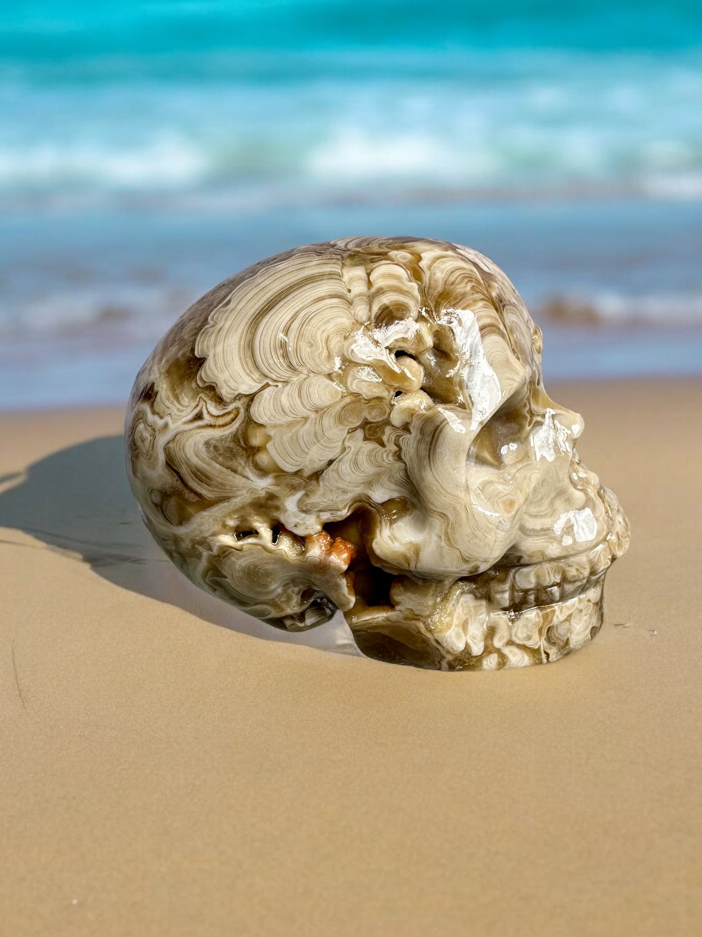 Amber Flower Calcite Skull