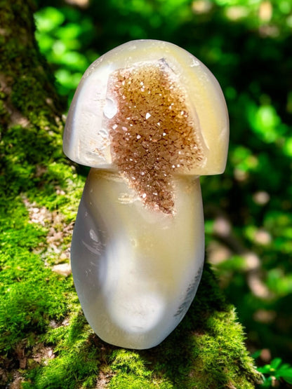 Orca Agate Crystal Mushroom with Sparkling Druzy