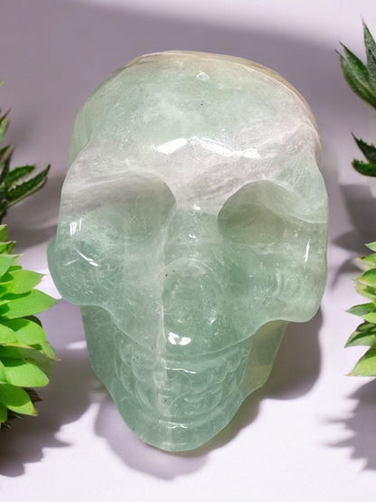 Candy Fluorite Skull