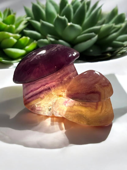 Fluorite Mushroom