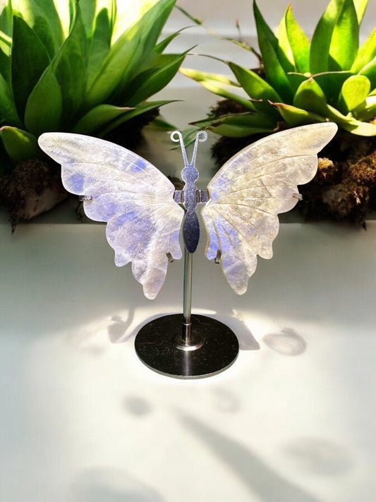 Moonstone Crystal Butterfly wings (on stand)