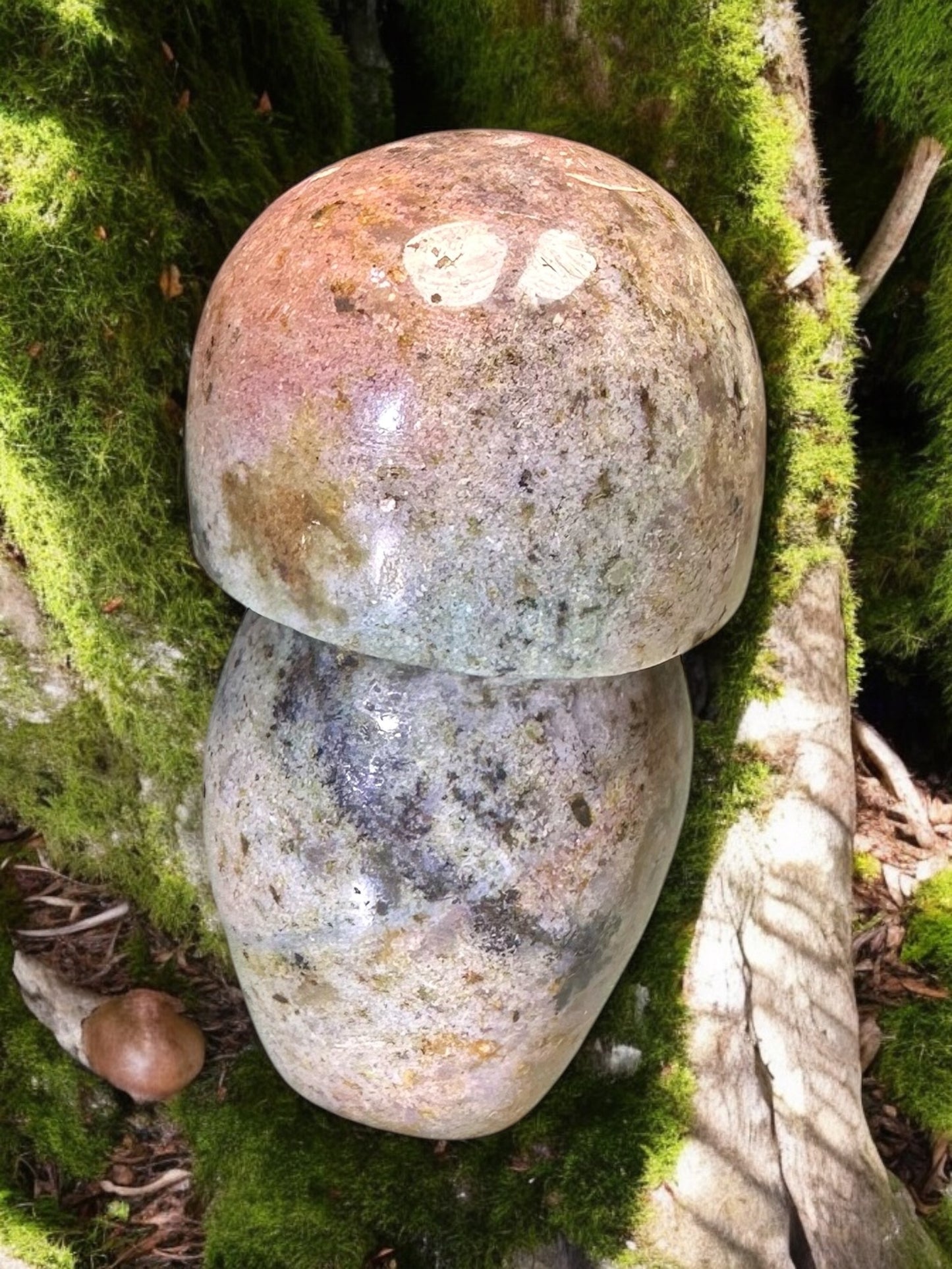 Dalmatian Ocean Jasper Mushroom