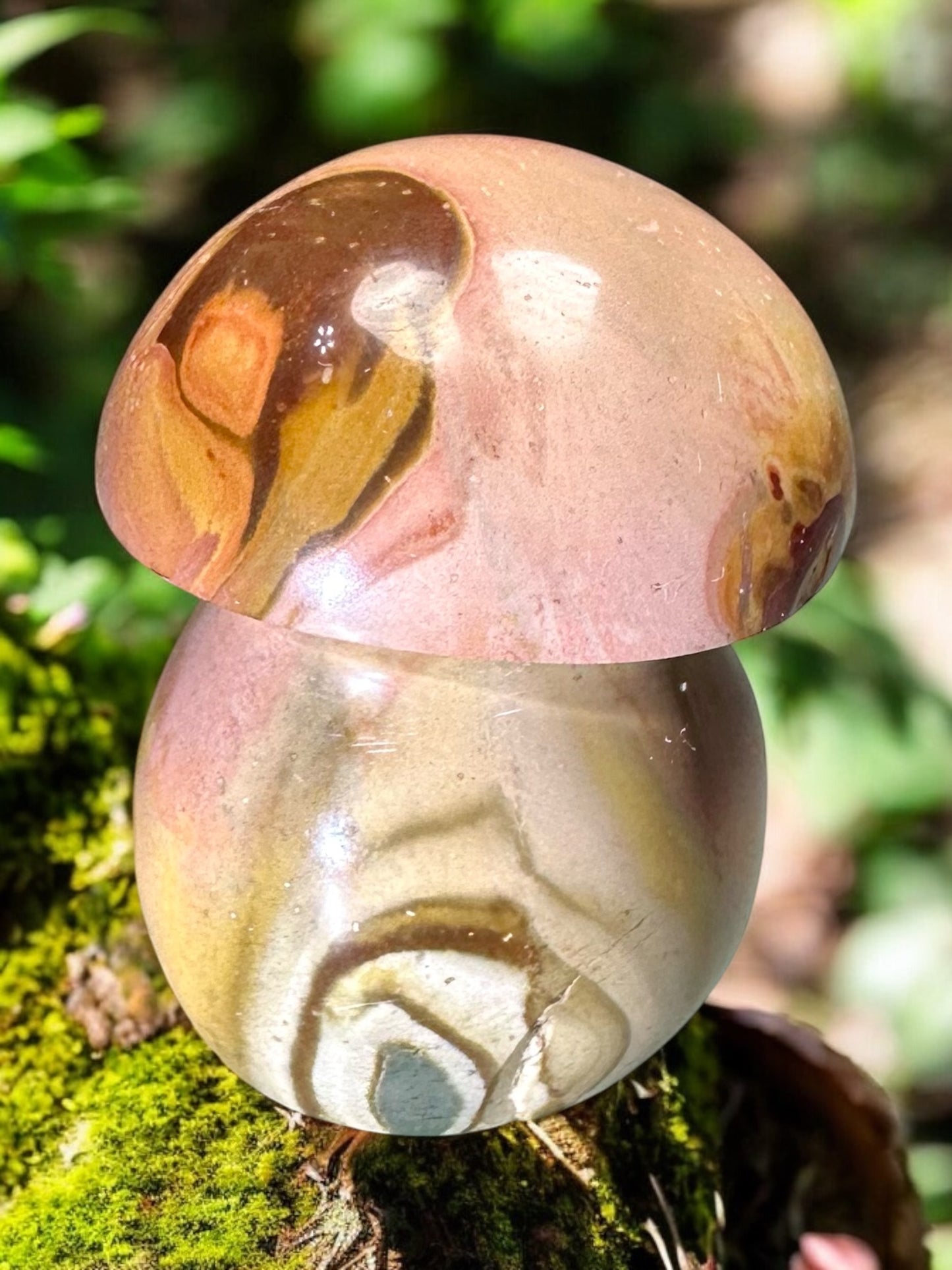 Polychrome Jasper Mushroom