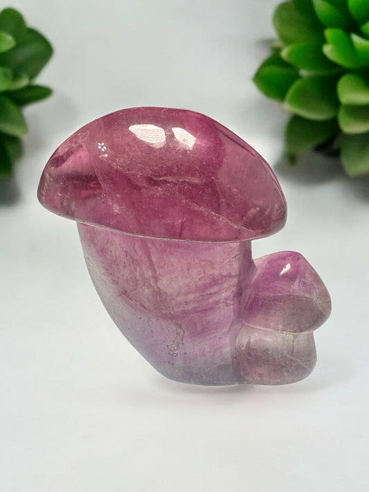 Fluorite Crystal Mushroom