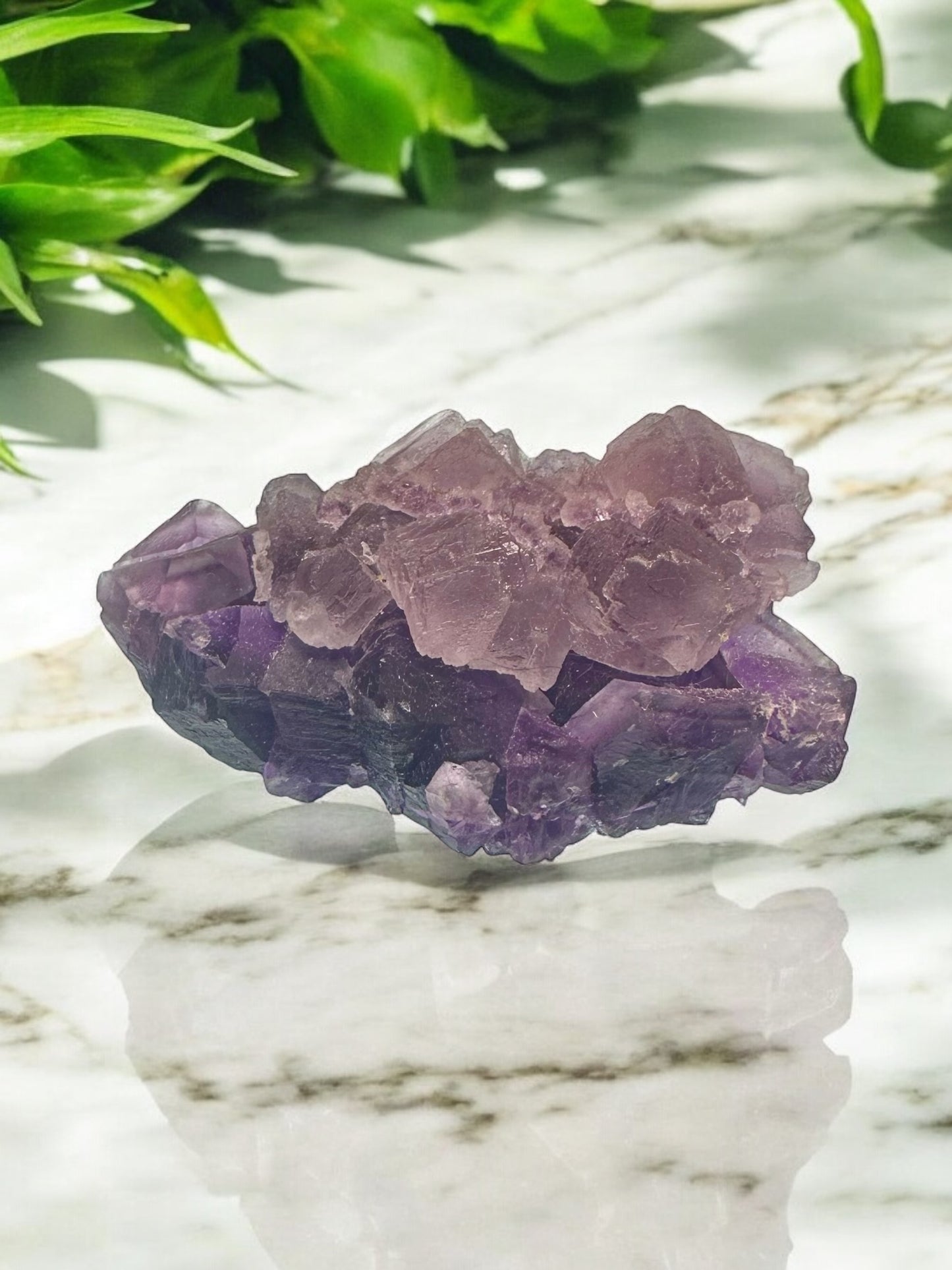 Raw Fluorite Speciman