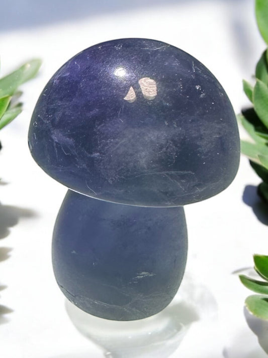 Fluorite Mushroom