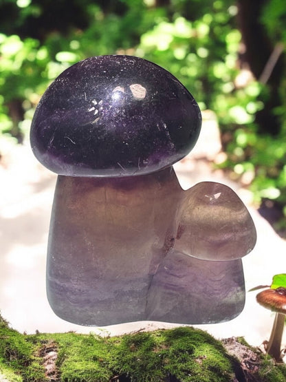 Fluorite Mushrooms