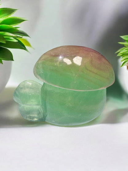 Fluorite Crystal Mushroom