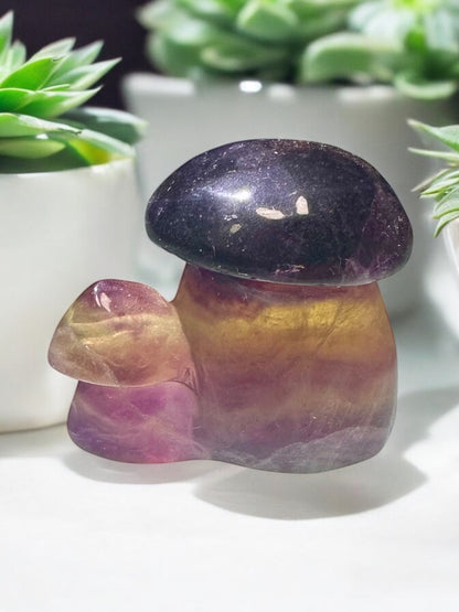 Fluorite Crystal Mushroom