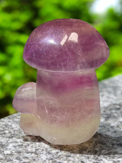 Fluorite Crystal Mushroom