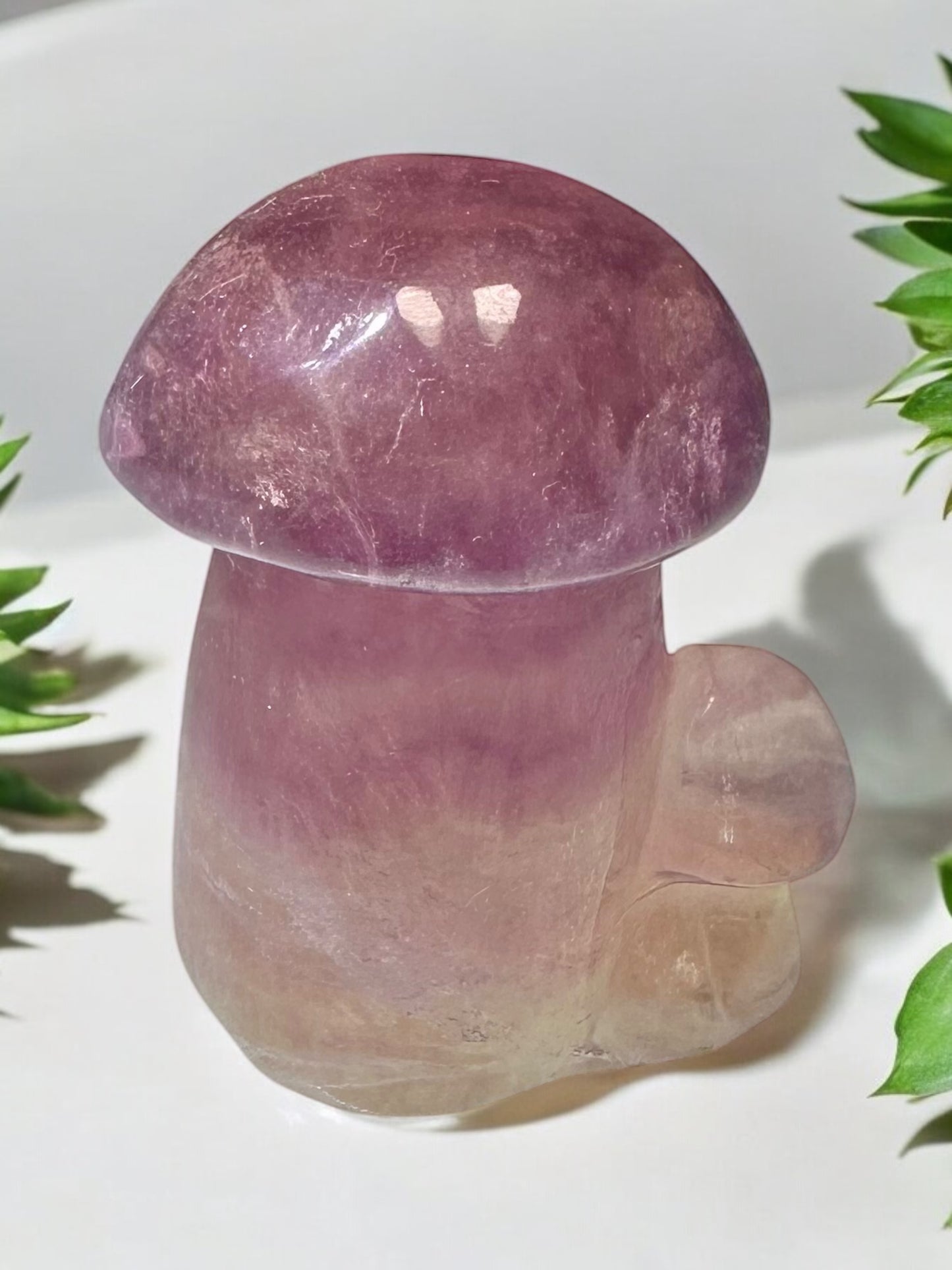 Fluorite Crystal Mushroom