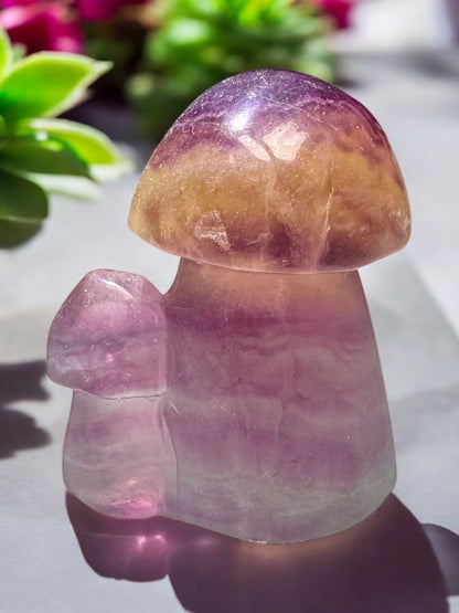 Fluorite Crystal Mushroom