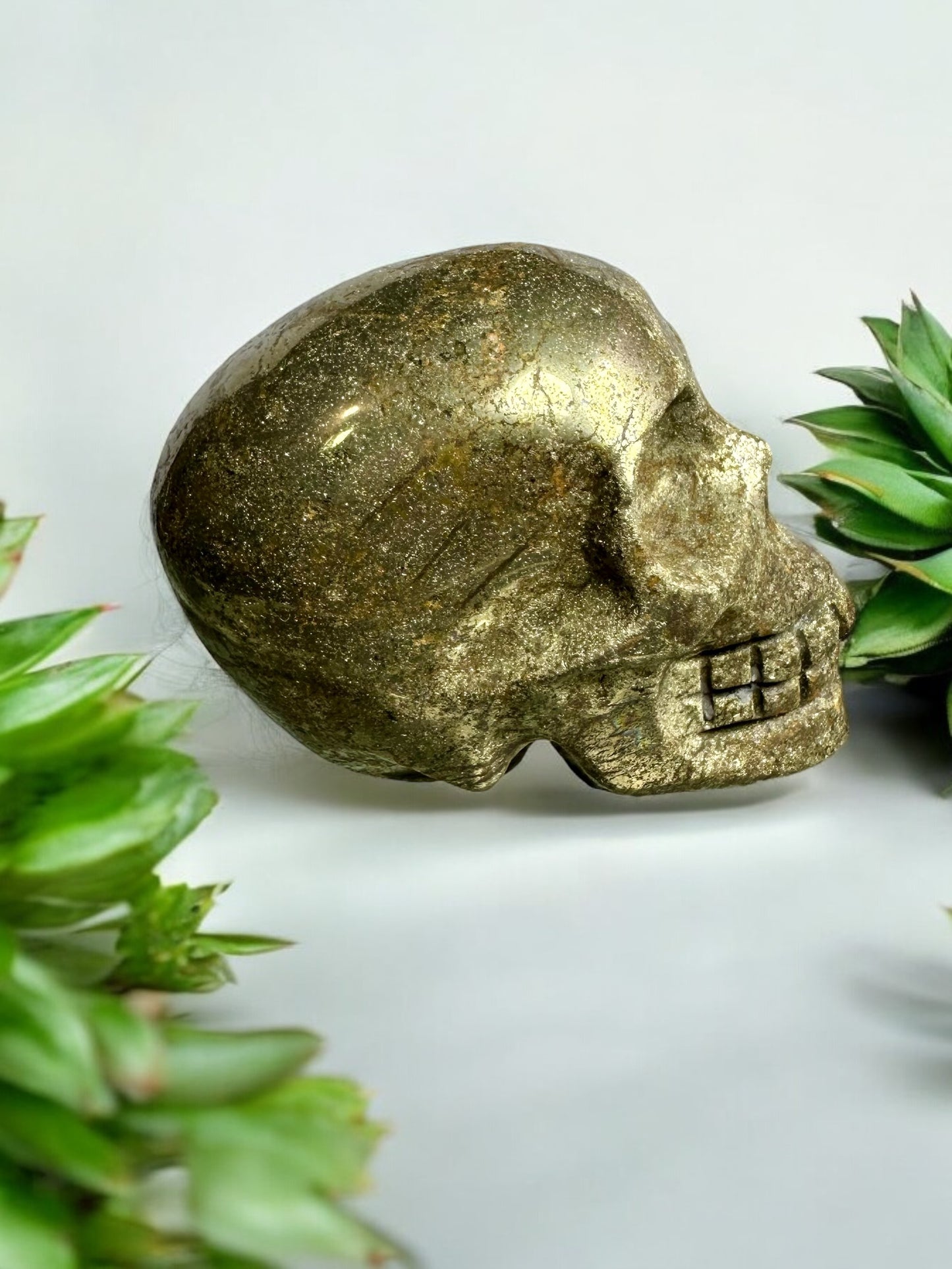 Pyrite Skull