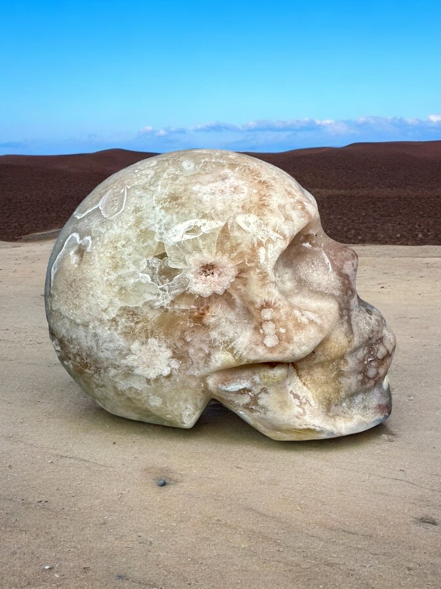 Druzy Flower Agate Skull