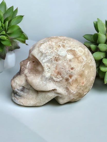 Druzy Flower Agate Skull