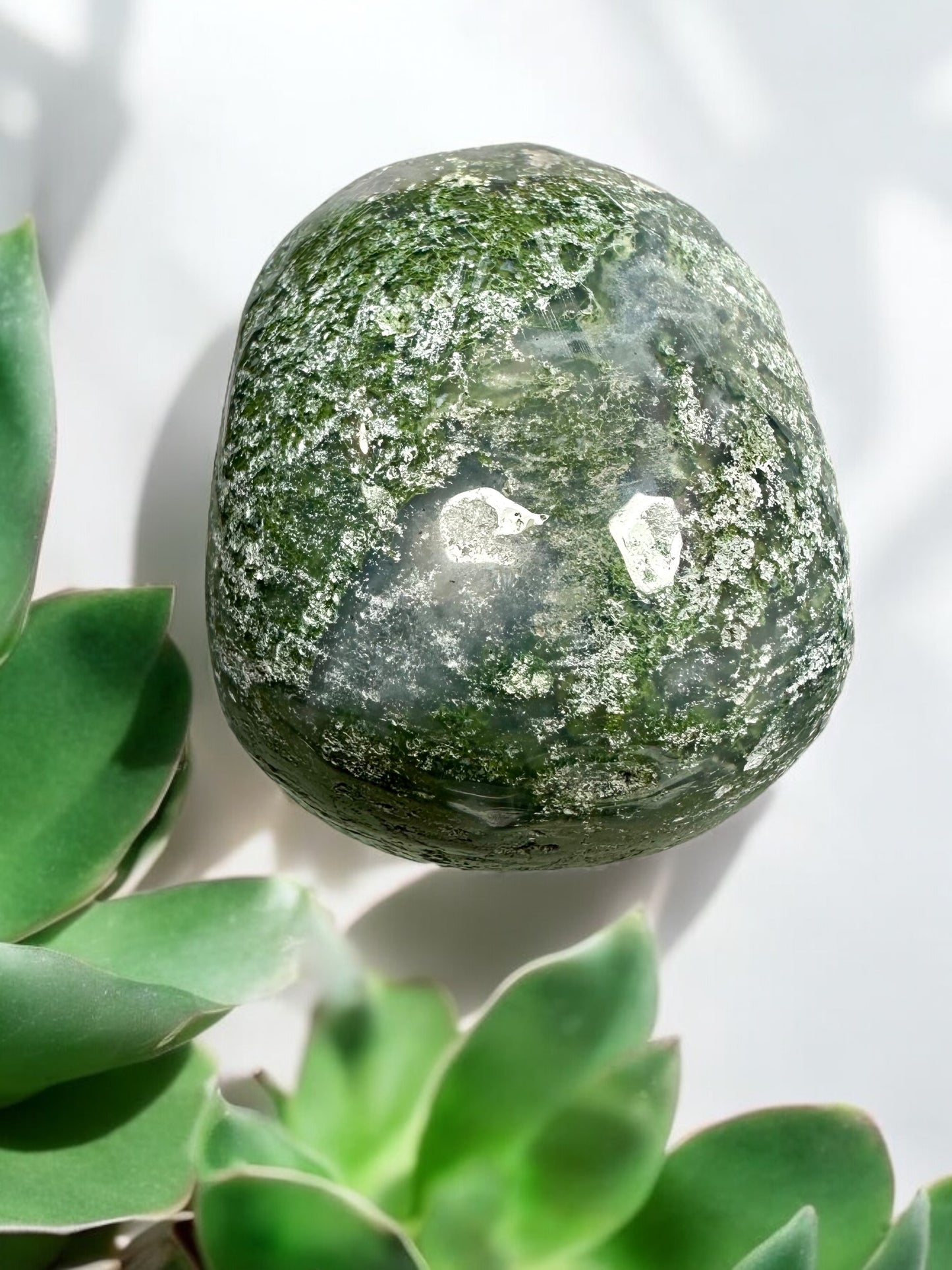 Moss Agate Skull