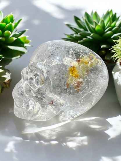 Clear Quartz Skull