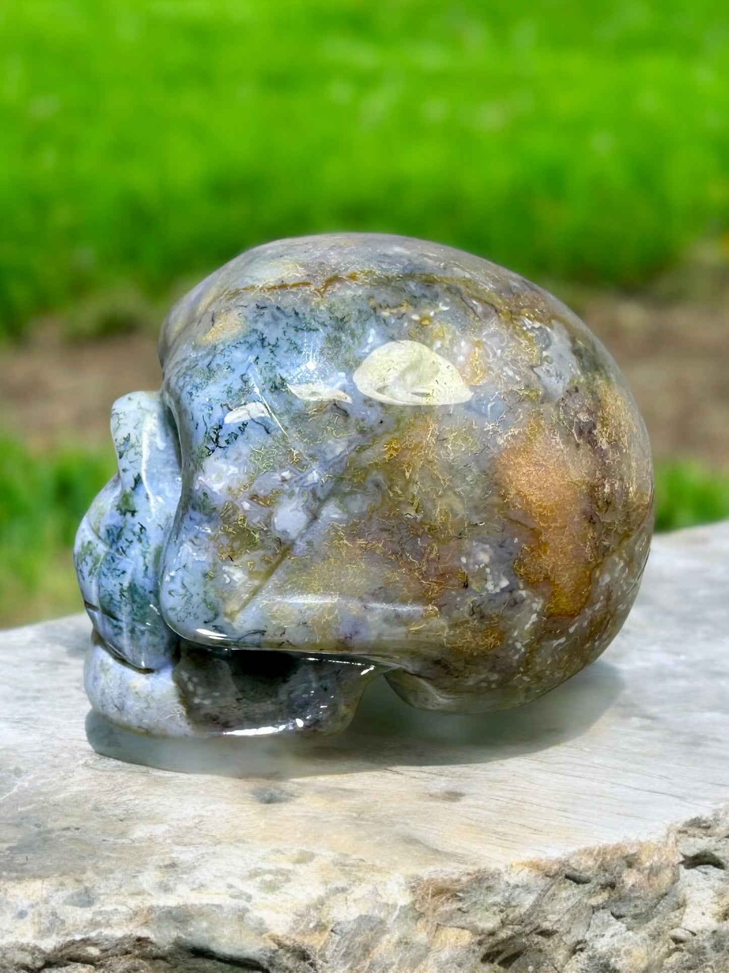 Ocean Jasper Skull