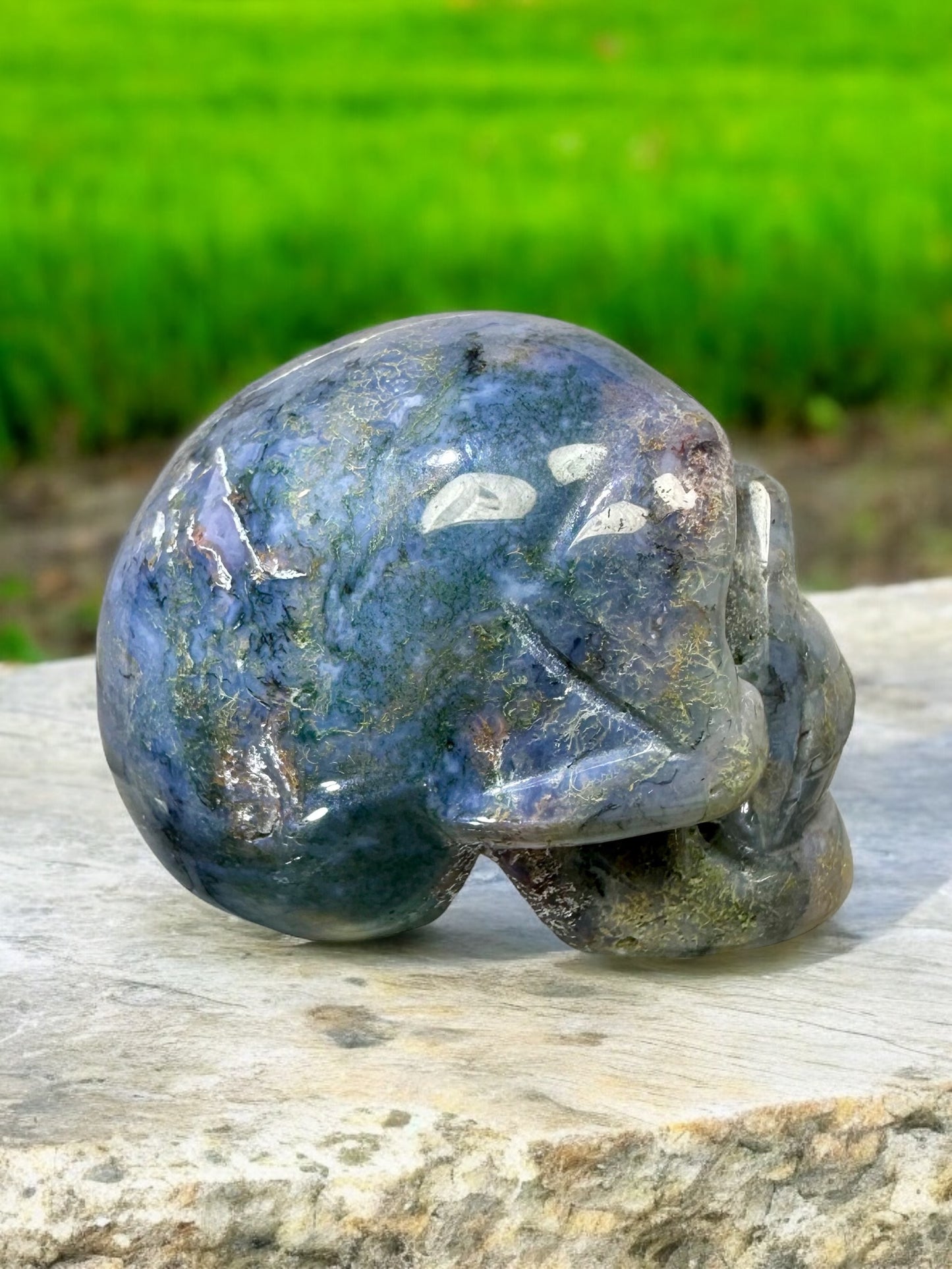 Ocean Jasper Skull