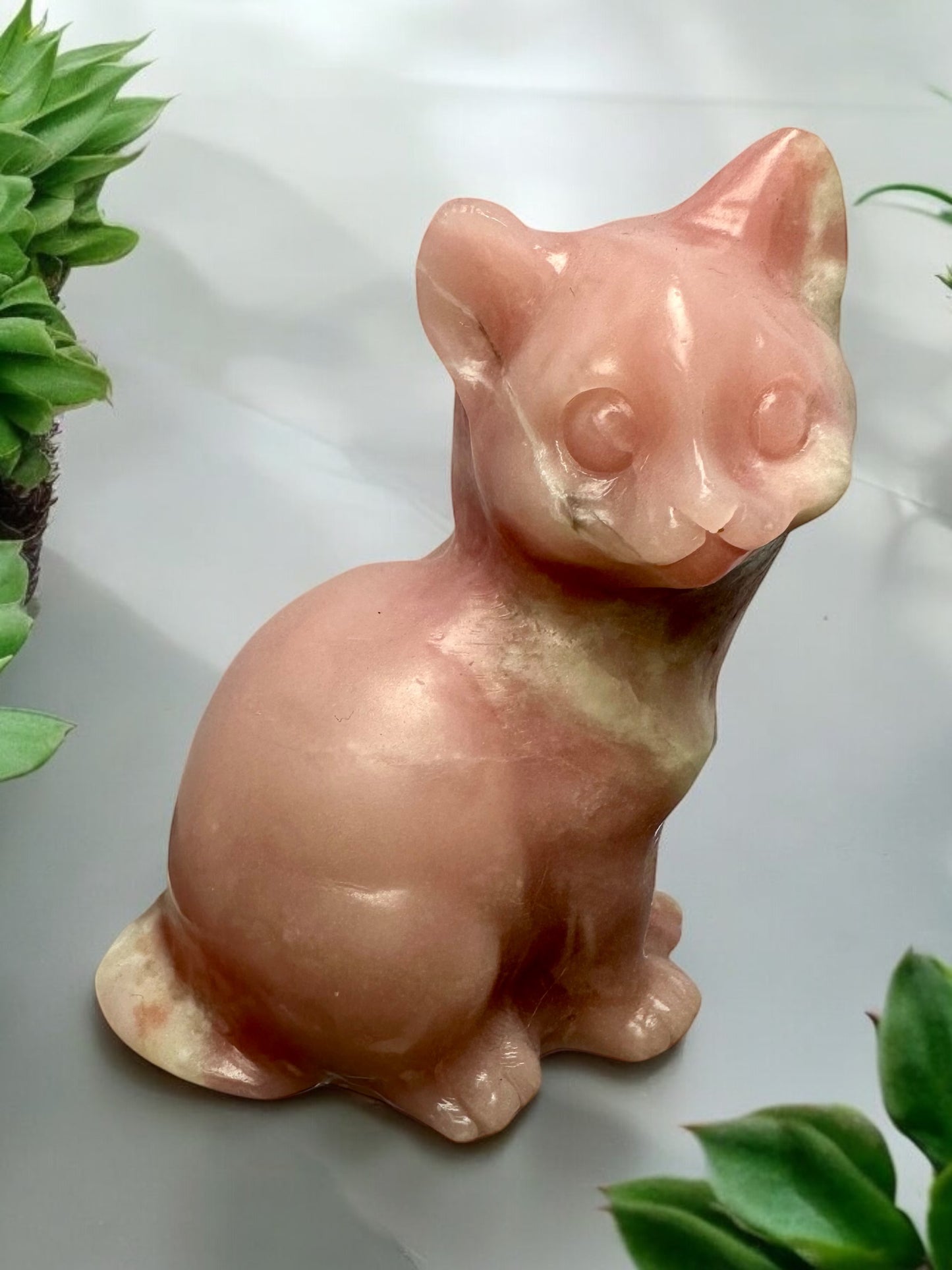 Pink Opal Cat